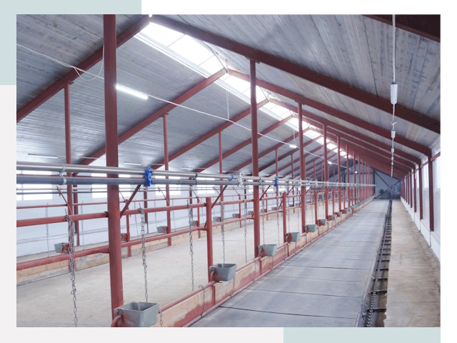 Строительство коровников в Иркутске от 625 руб.