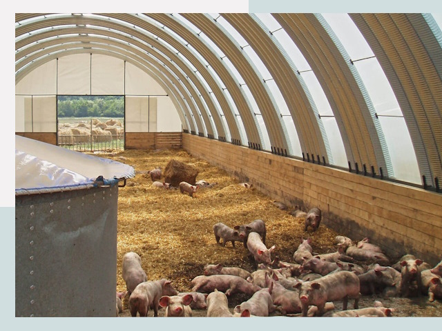 Строительство свинарников в Иркутске